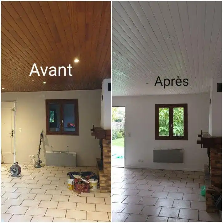 peinture sur lambris intérieur